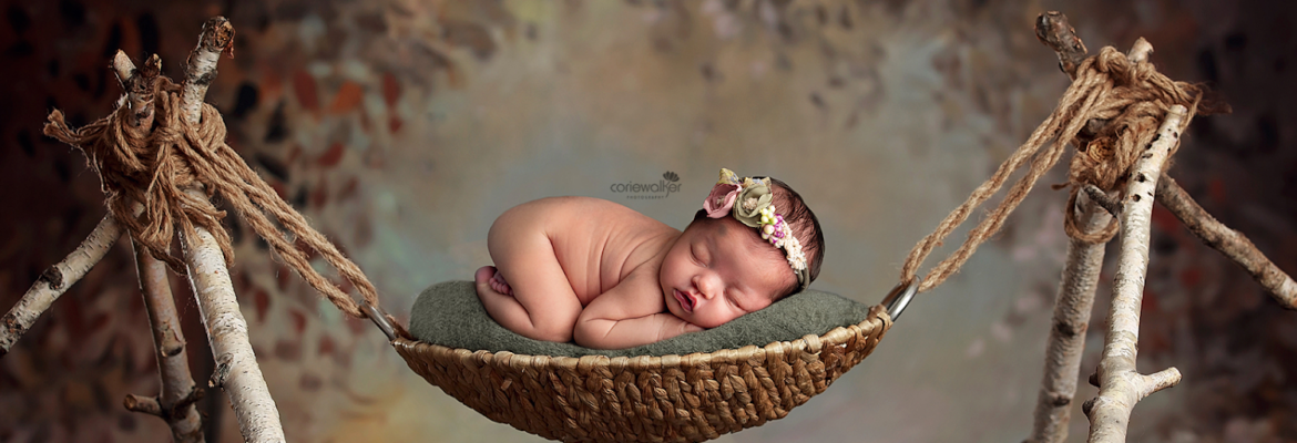 Corie Walker Photography