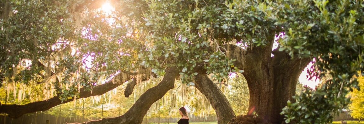 Kathleen Fox Photography