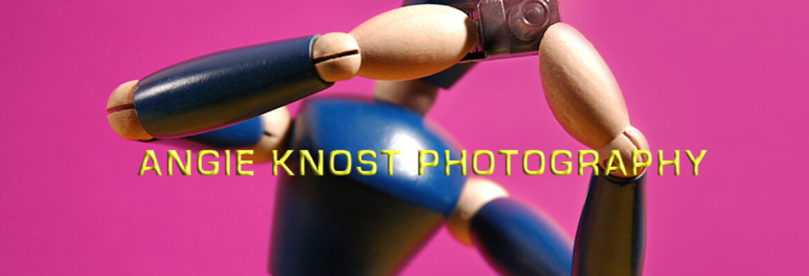 Angie Knost Photography