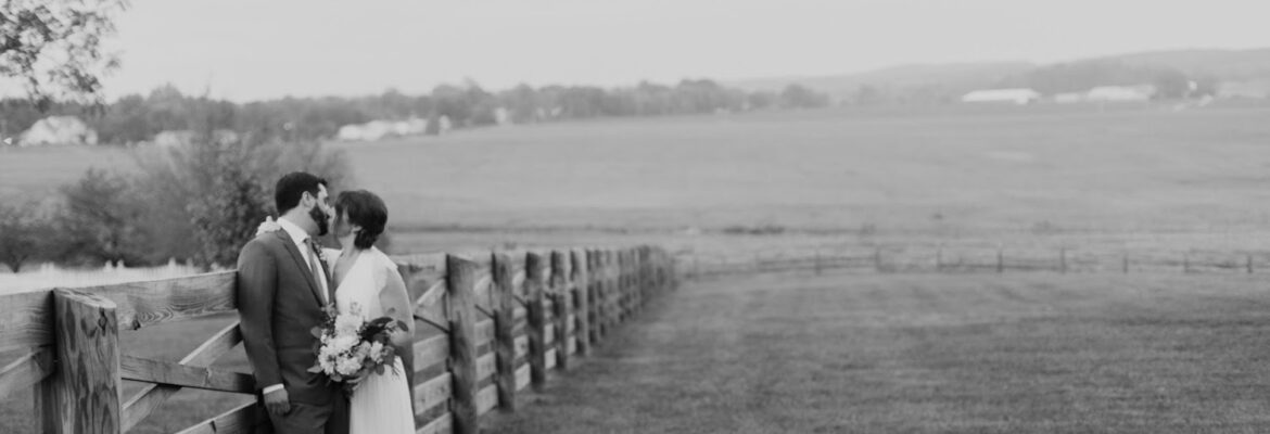 L.A. Birdie Photography