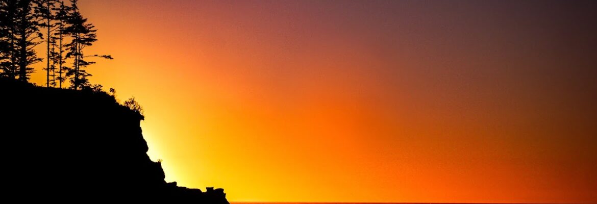 Seas To Trees Adventures