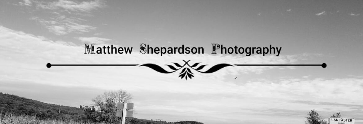 Matthew Shepardson Photography