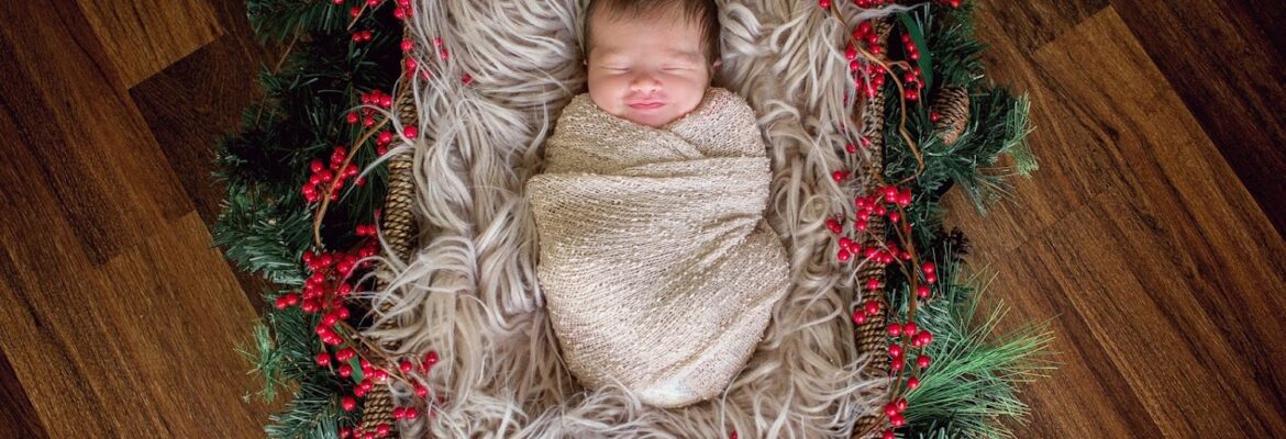 Meredith Clark Photography