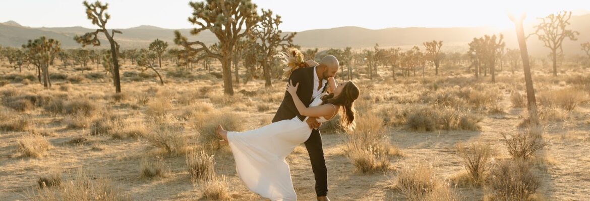 Tess Laureen Photography