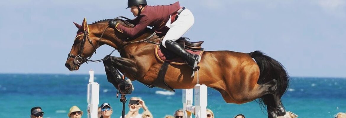 Bridgette Ness Photography