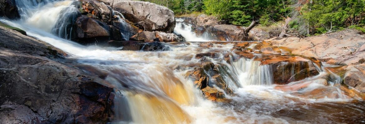 Mike Dorvinen Photography