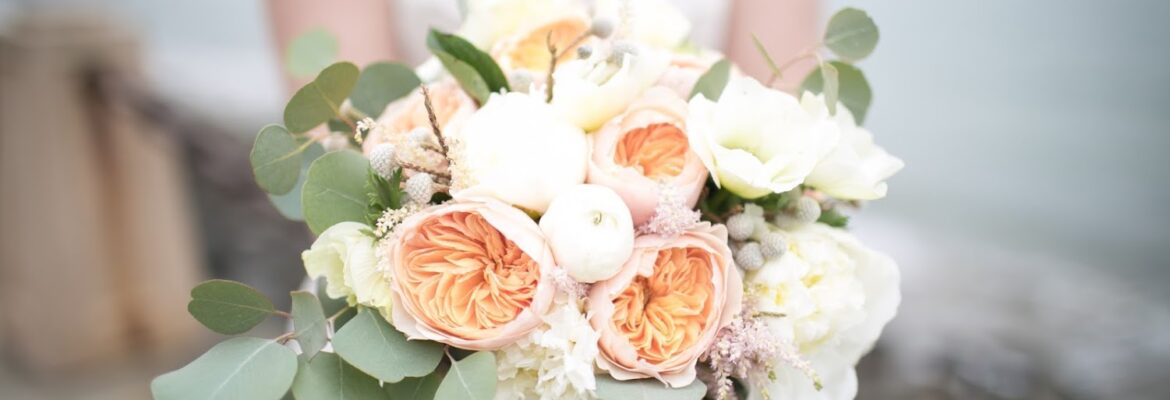 Kathryn Lewis Photography