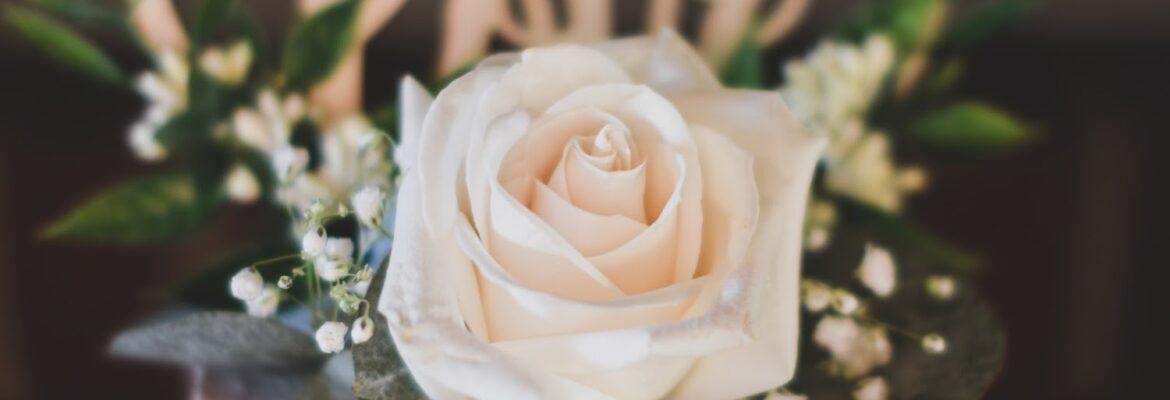 Simply Sims Photography