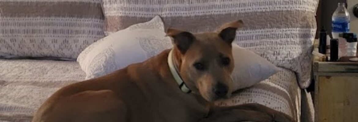 Elegant Evening Photography