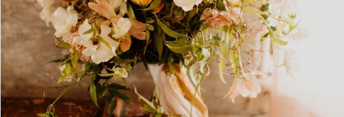 Sidney Ruedy Photography