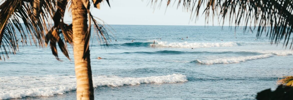 Olivia Derocher Photography