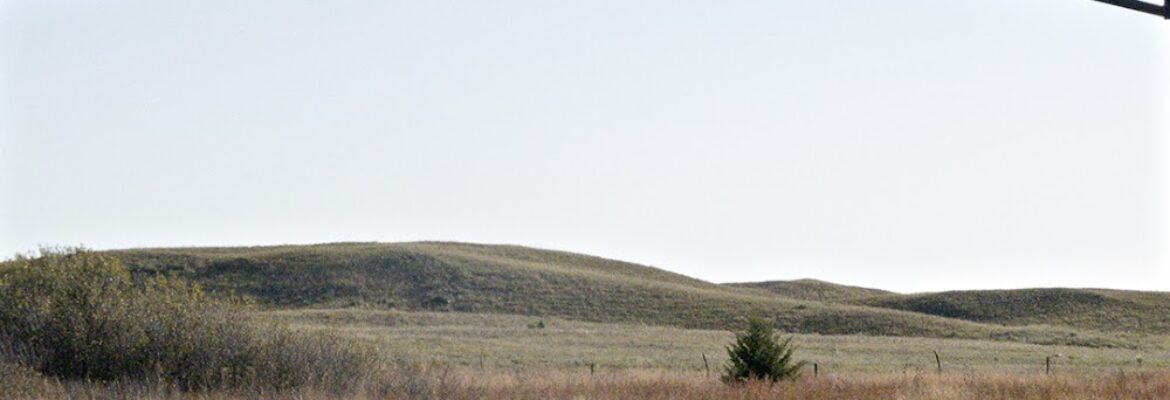 Darcia Kovarik Photography