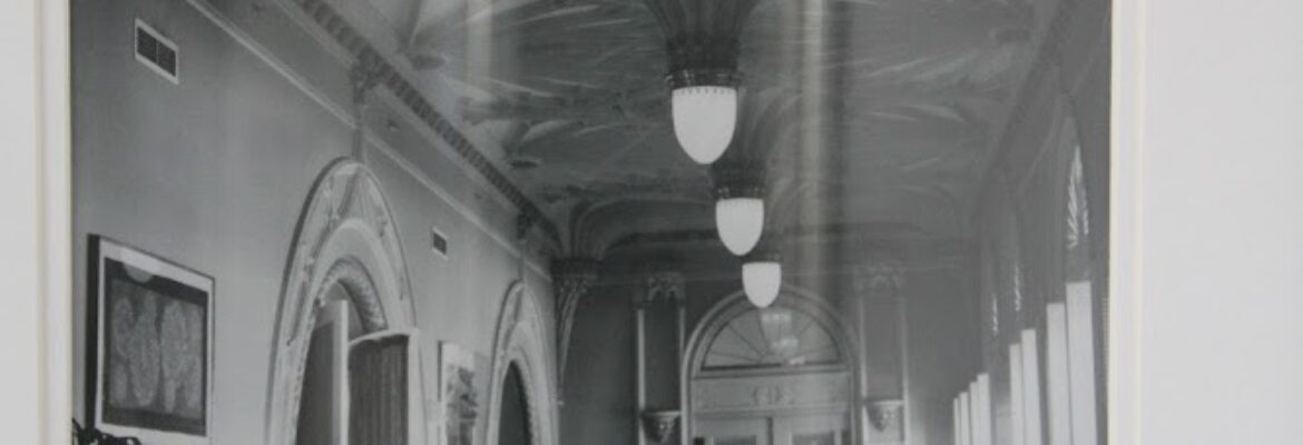 Laura Webb Photography