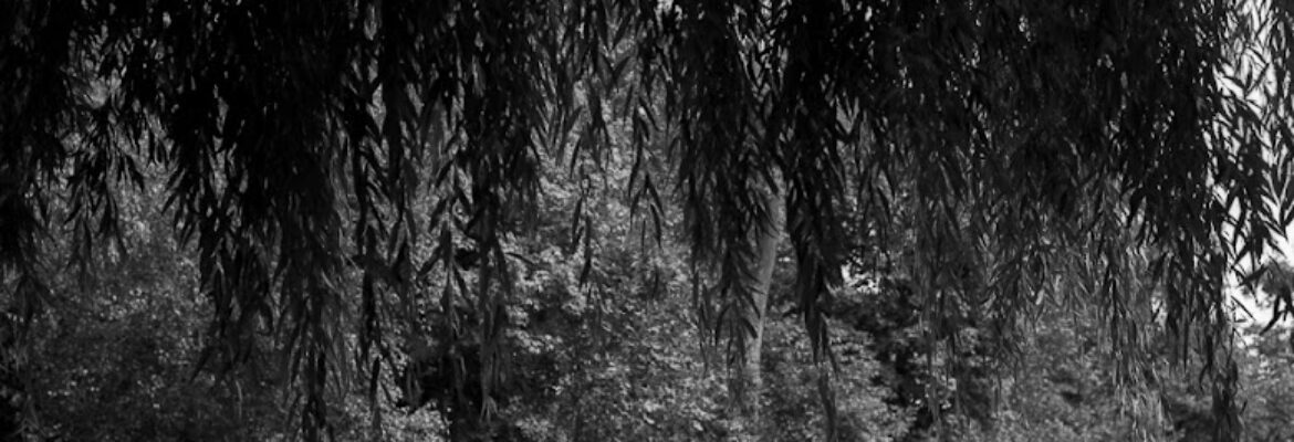Ryan A Stadler Photography