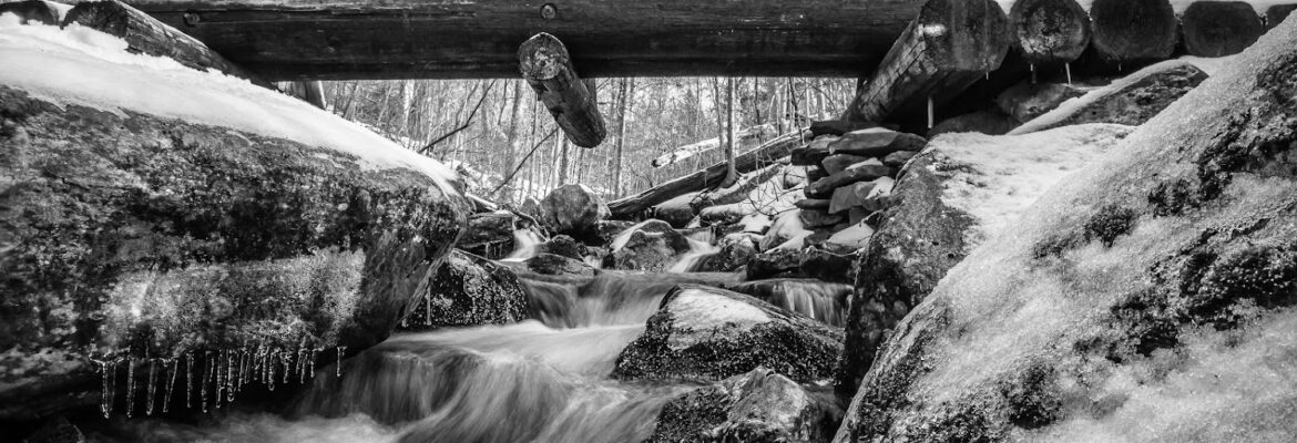 David N. Braun Photography