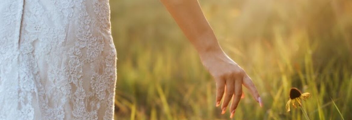 Bethany Joy Photography