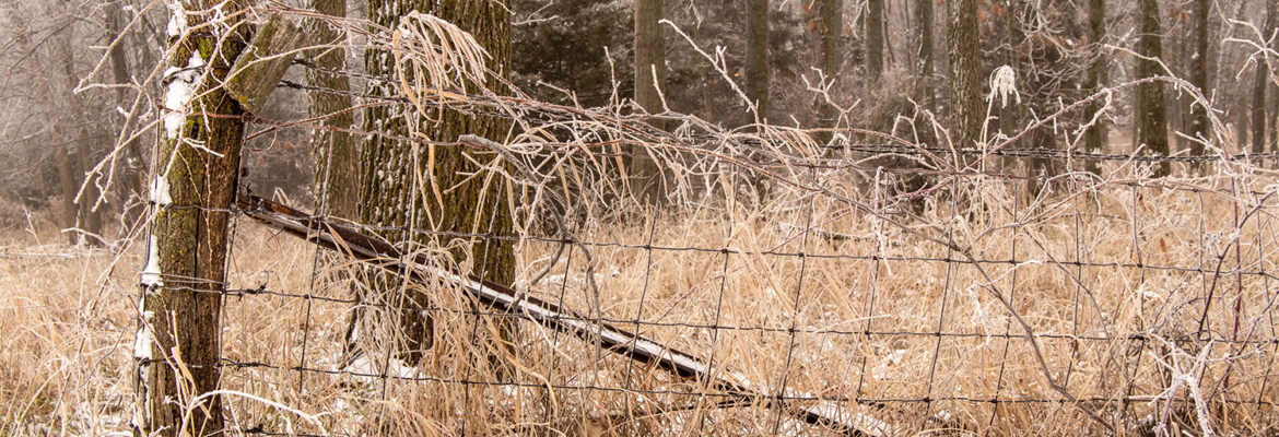 Fence Row Photography