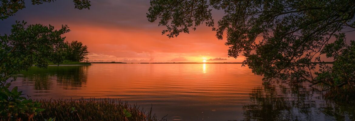 Peter Le Photography