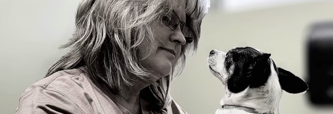 Capturing the Smiles