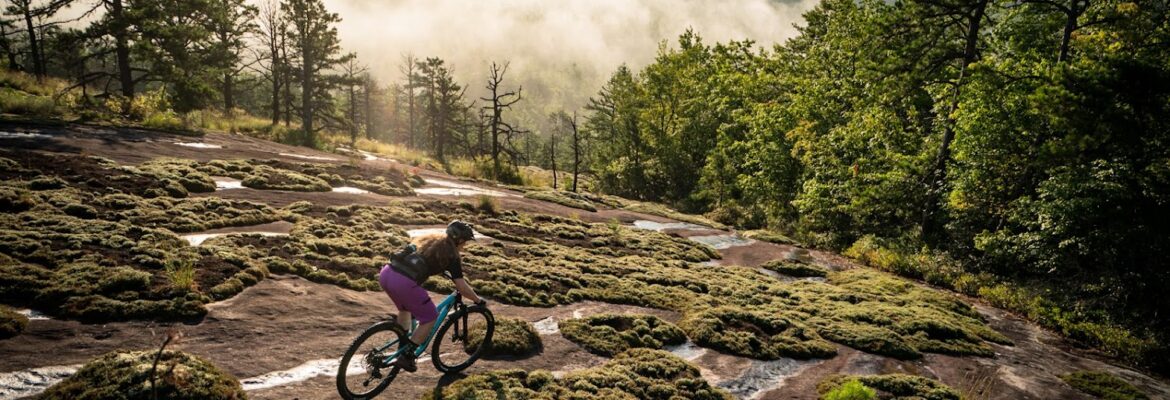 Burke Lawrence Photography