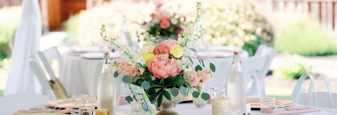 Cameron Zegers Photography