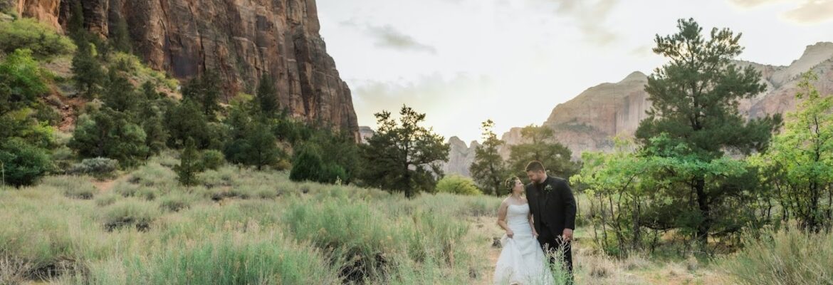Gallery Photography