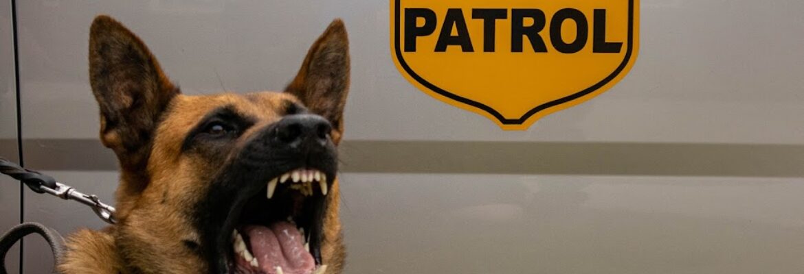 Jon Wilson Photography