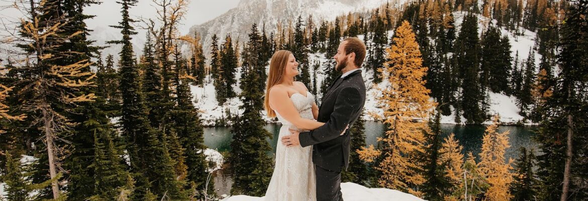 Aspen and Cedar