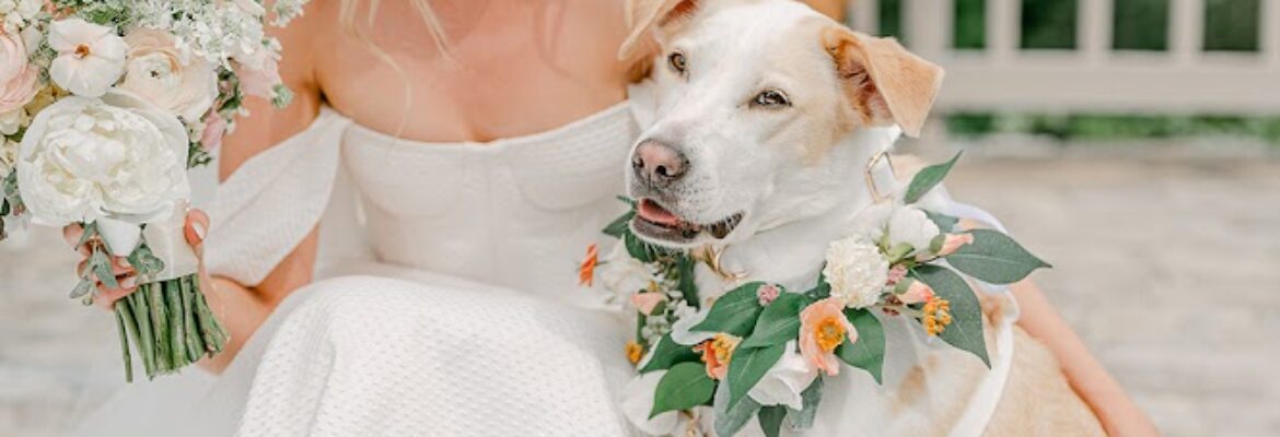 Laura Stiles Photo