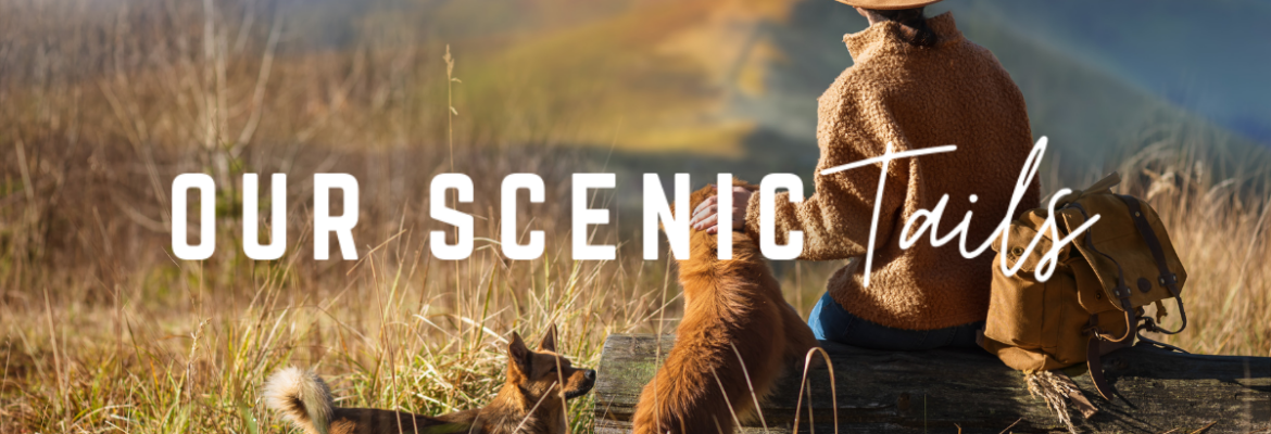 Our Scenic Tails