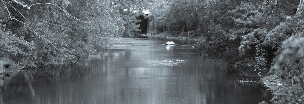Kaplan Images LLC