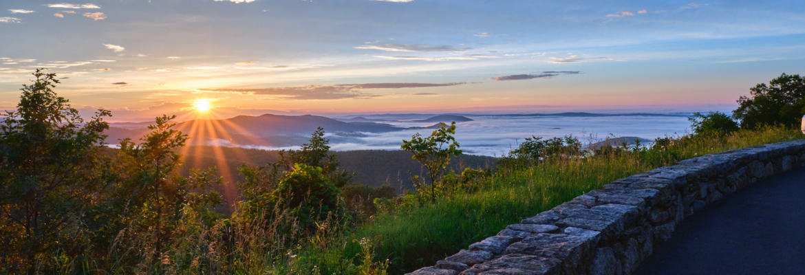 Matthew J. Cohen Photography