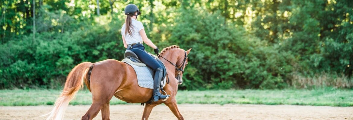 Inside Rein Images LLC