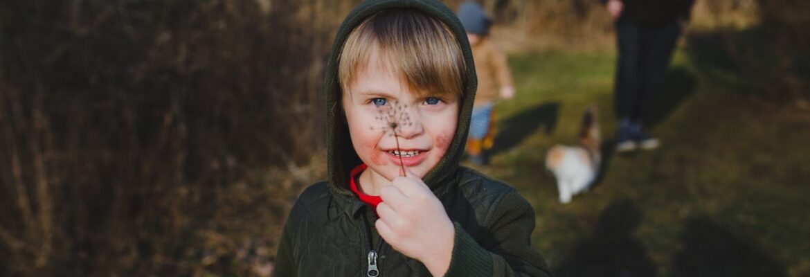 Shelley Torgerson Photography