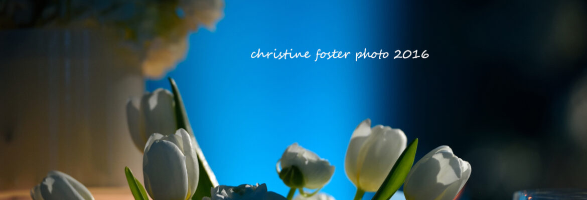 Christine Foster Photo