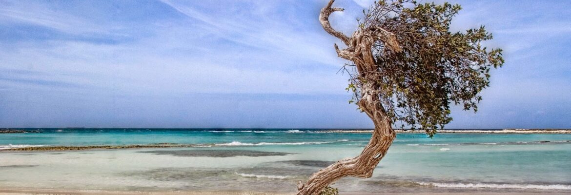 In-Focus Photography and Cinematography