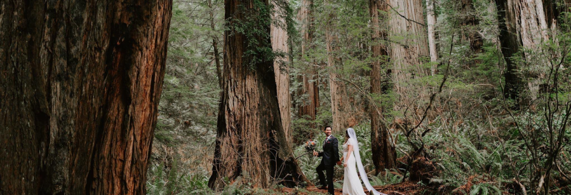 Hazel Eye Photography Pacific Northwest & Redwoods