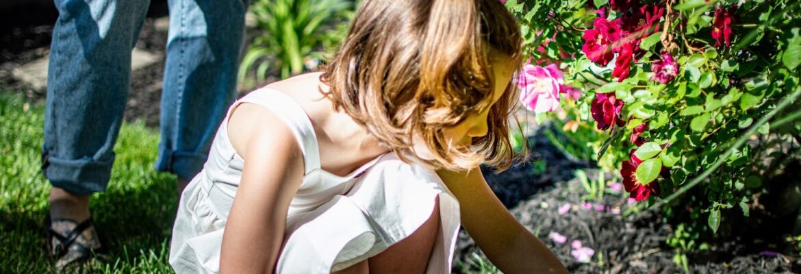 Meadowsweet Photo Company