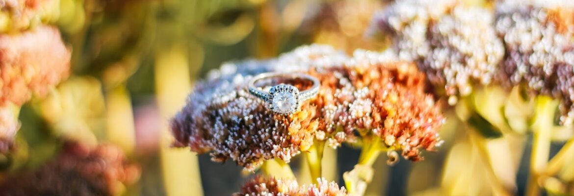 Molly Anderson Photography