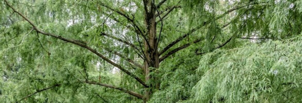 Kristie Leigh Photography, LLC