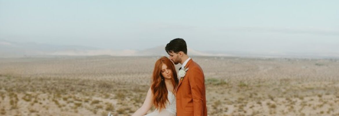 Wild Heart Visuals