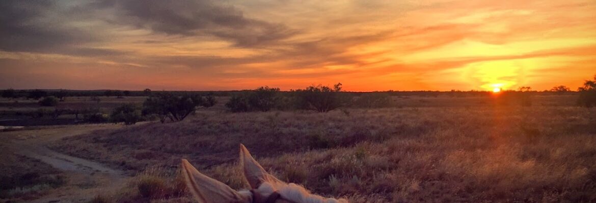 Emily McCartney Photography