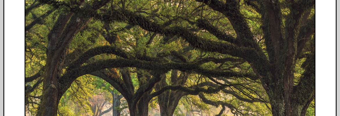 Douglas Parks Fine Art Photography