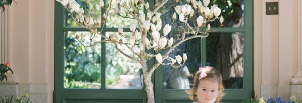 Honey and Fig Photography