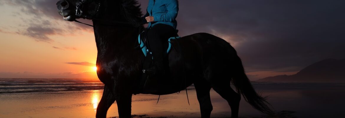 Tyler Sloan Photography