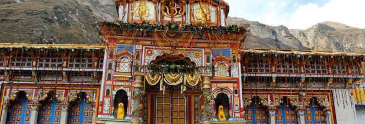 North American Nature Photo