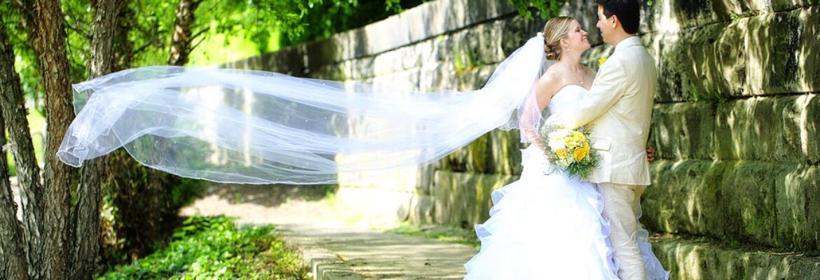 Tamara’s Camera Photography