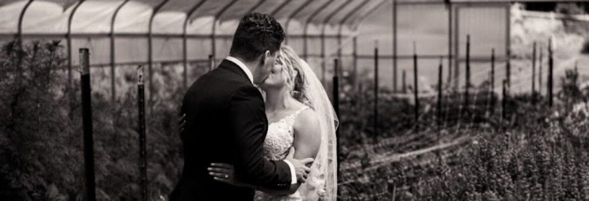 Wild Elements Photography