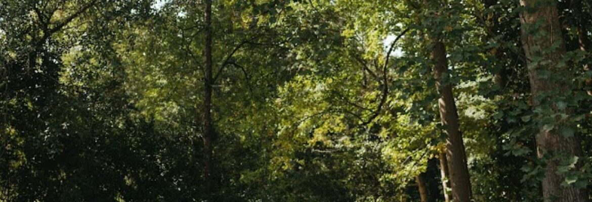 Presley Grace Photography