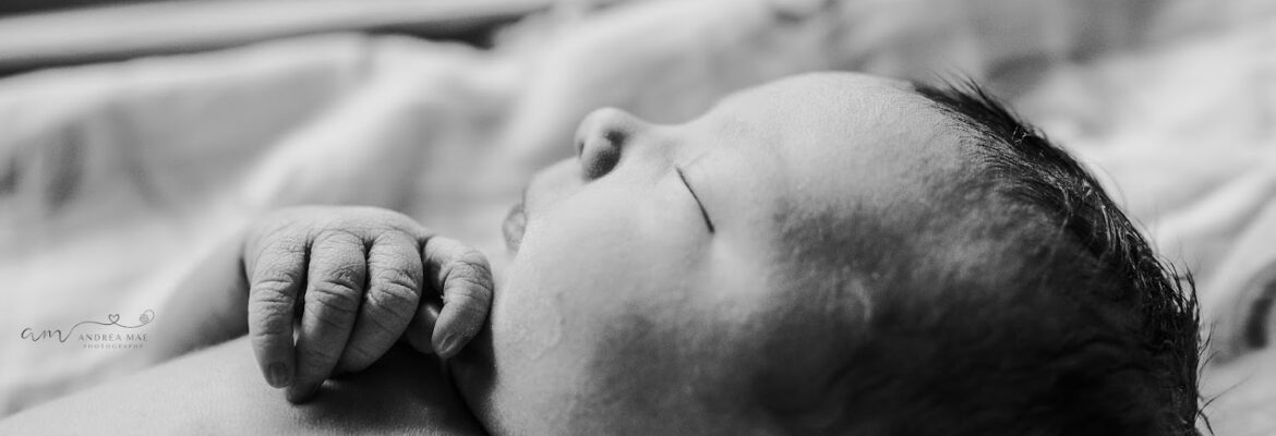 Andrea Mae Photography